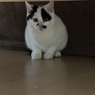 生後３ヶ月半男の子