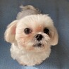 愛嬌たっぷり！くりくりお目々がたまらなく可愛い♡ サムネイル2