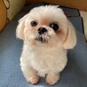 愛嬌たっぷり！くりくりお目々がたまらなく可愛い♡ サムネイル3