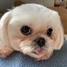 愛嬌たっぷり！くりくりお目々がたまらなく可愛い♡ サムネイル4