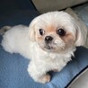 愛嬌たっぷり！くりくりお目々がたまらなく可愛い♡ サムネイル6