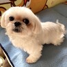 愛嬌たっぷり！くりくりお目々がたまらなく可愛い♡ サムネイル7