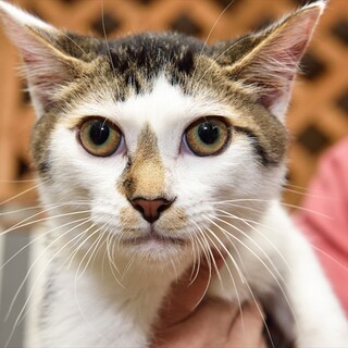 こうた君。ハンディに負けないけなげな子。