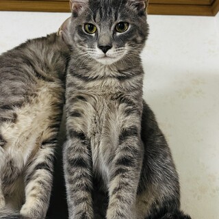 めちゃくちゃ甘えん坊君4ヶ月