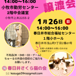 保護猫の譲渡会in小牧