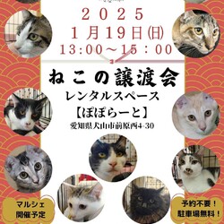 猫の譲渡会 @レンタルスペースぽぽらーと