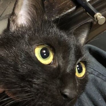 だいぶ大きくなりました