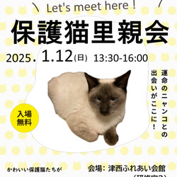 保護猫里親会in津西ふれあい会館