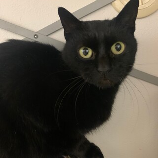 ごはん大好き❤︎クーちゃん