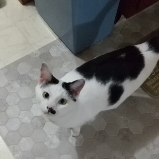 よく食べて、甘えん坊のがんばるくん♪動画有り