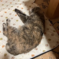 年の瀬を迎えて