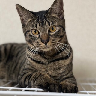 お兄ちゃん的存在♡やっくん