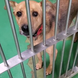 ありがとうございました！