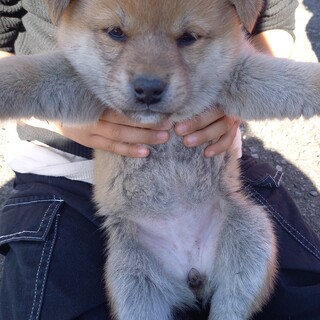 助けてくださぃ!!