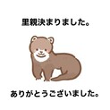 里親決定しました。ご応募ありがとうございました。