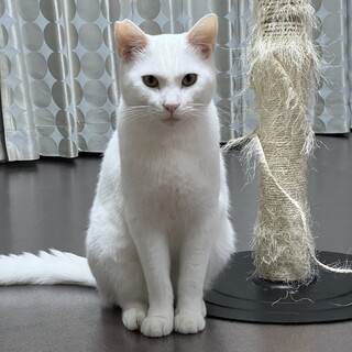 初心者の方も大丈夫❤️動画更新しました