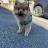 ワクチン2回目行ってきました♫