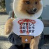 初めてのお正月