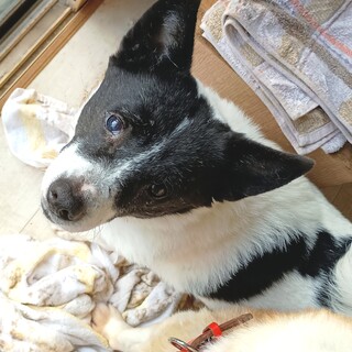 現在、応募者複数のため募集停止中