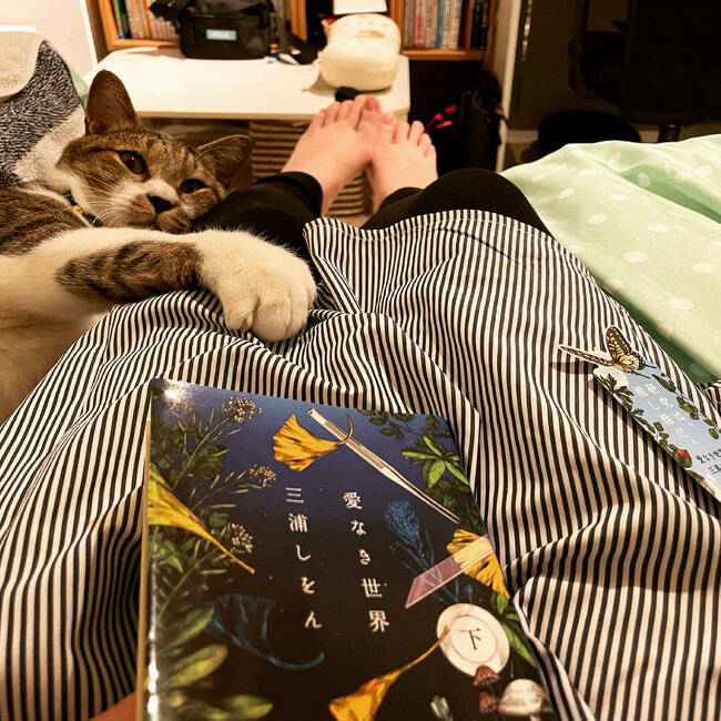 AmelieOsawaのカバー写真