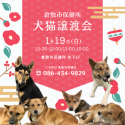 倉敷市保健所　収容犬猫譲渡会