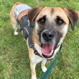 困り顔がかわいい【トト】くん☆