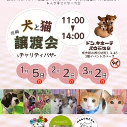 保護犬猫の合同譲渡会（ドン・キホーテパウ石切店)
