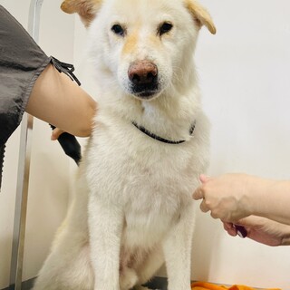 忠犬タイプのボンド君！