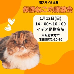 ねこの譲渡会＠枚方市