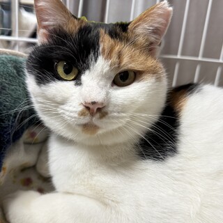 背中にハート♡柄　みいちゃん