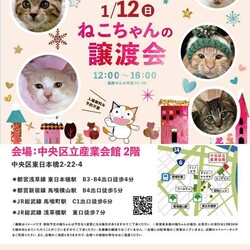 ねこざんまい譲渡会@東日本橋