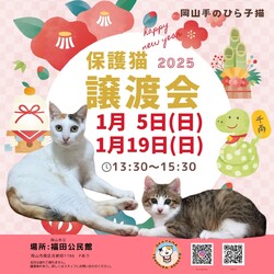 岡山手のひら子猫　保護猫譲渡会