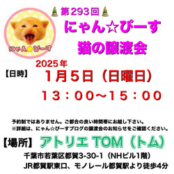 にゃん☆ぴーす猫の譲渡会【都賀･アトリエTOM】