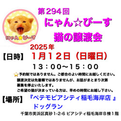 にゃん☆ぴーす猫の譲渡会【稲毛海岸/ペテモピアシティ稲毛海岸店』