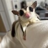 里親様が決まりました！ サムネイル2