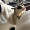 里親様が決まりました！ サムネイル3
