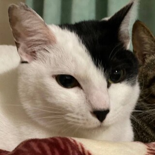 〝ゴロー君〟です♪