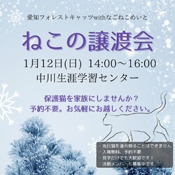 保護猫譲渡会　名古屋市　中川区 サムネイル1