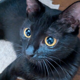 甘えん坊♡すずちゃんです☆