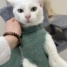 家族になってください サムネイル3