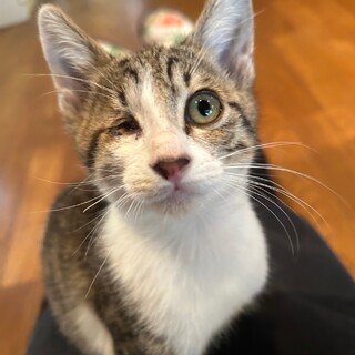 ありがとうございました★Winkcatラムネちゃん