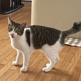 ありがとうございました★可愛いペンシルくん