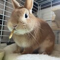 1歳の元気な男の子です。