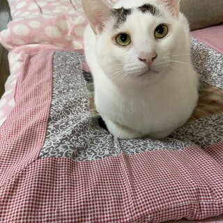 穏やかなで優しい福ちゃん