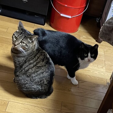 明けましておめでとうございます。今年もよろしくお願いします。