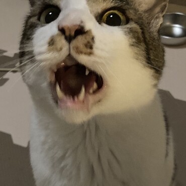 の写真