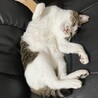 の写真