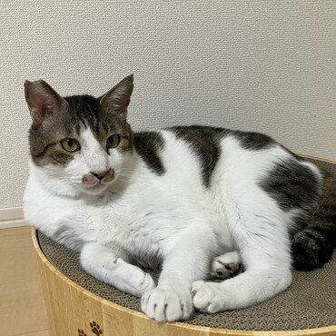 の写真