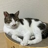の写真