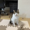の写真